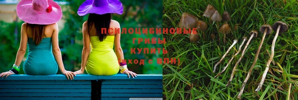 apvp Белоозёрский