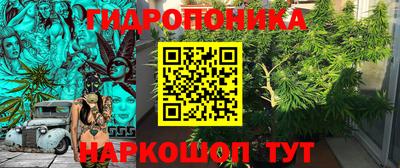 прущие крисы Тулун