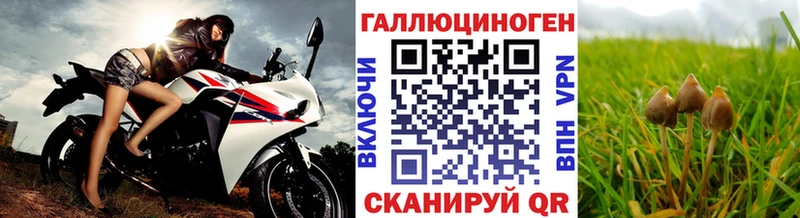 Галлюциногенные грибы Cubensis Пыть-Ях